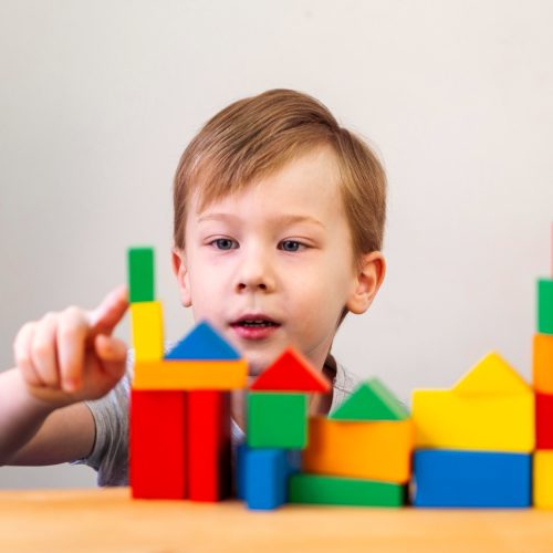 “A Equilibração das Estruturas Cognitivas” Jean Piaget